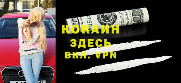 молекула духа Арсеньев