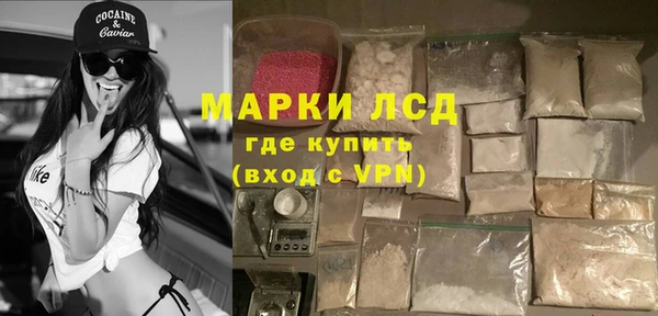 молекула духа Арсеньев