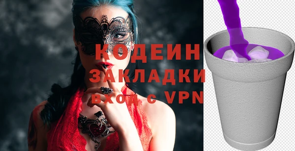 молекула духа Арсеньев