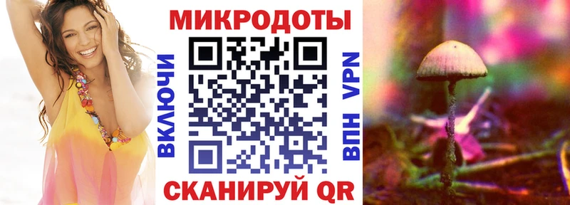 где купить наркоту  Чудово  Галлюциногенные грибы мухоморы 